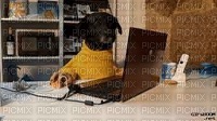 dog office - Free PNG