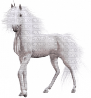 Einhorn unicorn - 免费PNG