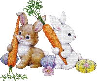 amour de lapins - 免费动画 GIF