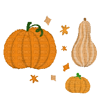 Pumpkin Patch Halloween - Free animated GIF