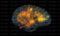 brain - Безплатен анимиран GIF