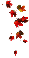 autumn automne herbst milla1959 - GIF animado gratis