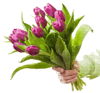 Tulpen - Darmowy animowany GIF