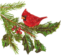 loly33 oiseau  hiver - PNG gratuit