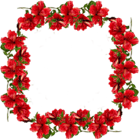 Hibiscus Frame - 免费PNG