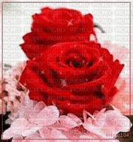 Rosas - Free animated GIF