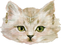 tête de chat - GIF animado gratis