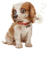 Kaz_Creations Dogs Dog Pup 🐶 - nemokama png
