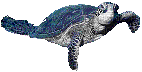 turtle graphic - Free animated GIF