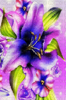 Flowers - Безплатен анимиран GIF