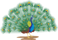 Kaz_Creations Peacock Deco - 免费PNG