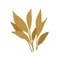 Leaves.feuilles.Deco.branche.branch.Victoriabea - Ücretsiz animasyonlu GIF