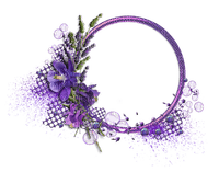 purple frame - zdarma png