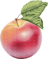 apple Bb2 - PNG gratuit