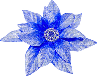 Christmas.Flower.Blue - PNG gratuit