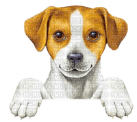 CHIEN - Free PNG