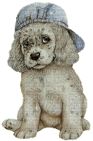 Kaz_Creations Cute Dog With Hat - Free animated GIF
