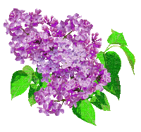 lilac deco - Ingyenes animált GIF