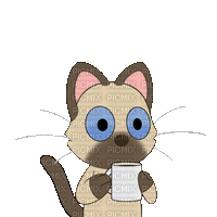 A cute cat drinking coffee - Free animated GIF