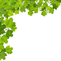 hojas verdes animadas dubravka4 - Free animated GIF