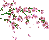 flowers blossom - Бесплатни анимирани ГИФ