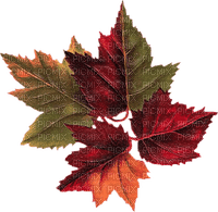 Autumn  Bb2 - Free PNG