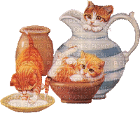 jug lanceur cat chat katze gif fun milk deco - Ingyenes animált GIF