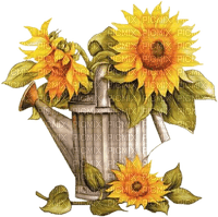Sunflowers in can - png gratuito