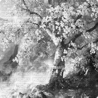 Y.A.M._Landscape background black-white - ilmainen png