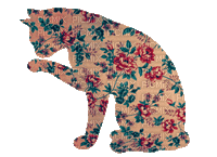 pattern cat by laughingtillweredead - Δωρεάν κινούμενο GIF
