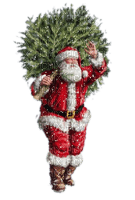 Weihnachtsmann, Tanne - png gratis