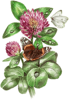 soave deco branch flowers butterfly  pink green - gratis png