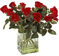 minou-red-roses- bukett röda rosor - gratis png
