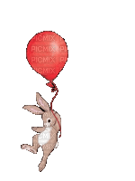 Ballon.red.lapin.bunny.rabbit.Victoriabea