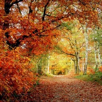 Осенний пейзаж - PNG gratuit