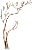 soave deco tree winter white brown - PNG gratuit