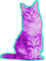 Cat - Kostenlose animierte GIFs