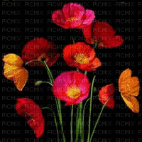 tulipas - Δωρεάν κινούμενο GIF