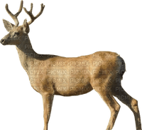 Kaz_Creations Deer - PNG gratuit