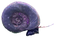 purple - Nemokamas animacinis gif