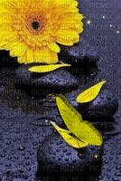 yellow - GIF animado grátis