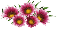 kukka flower fleur - nemokama png