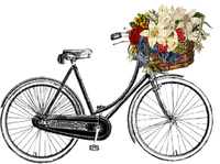 bicycle-flower-cykel - png ฟรี