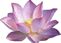 lotus - PNG gratuit
