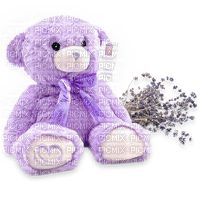 teddy bear bp - 免费PNG