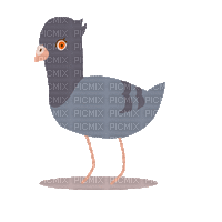 dove - 無料のアニメーション GIF