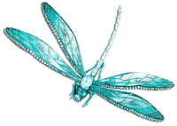 soave deco dragonfly teal - zdarma png
