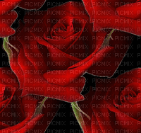 image encre animé effet fleurs roses mariage edited by me - GIF animé gratuit
