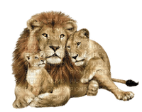 Kaz_Creations Lion - besplatni png