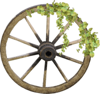 roue jardin deco wheel garden